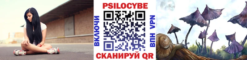 купить наркотик  mega рабочий сайт  Галлюциногенные грибы Cubensis  Алапаевск 